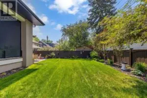 a lawn in a backyard